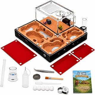Ecological Ant Nest - Modular Ant Farm with Magnetic Glass Covers, Humidity Control, Ventilation, and Expansion Ports - Perfect for Ant Enthusiasts (10.63 x 9.84 x 5.12 inches)