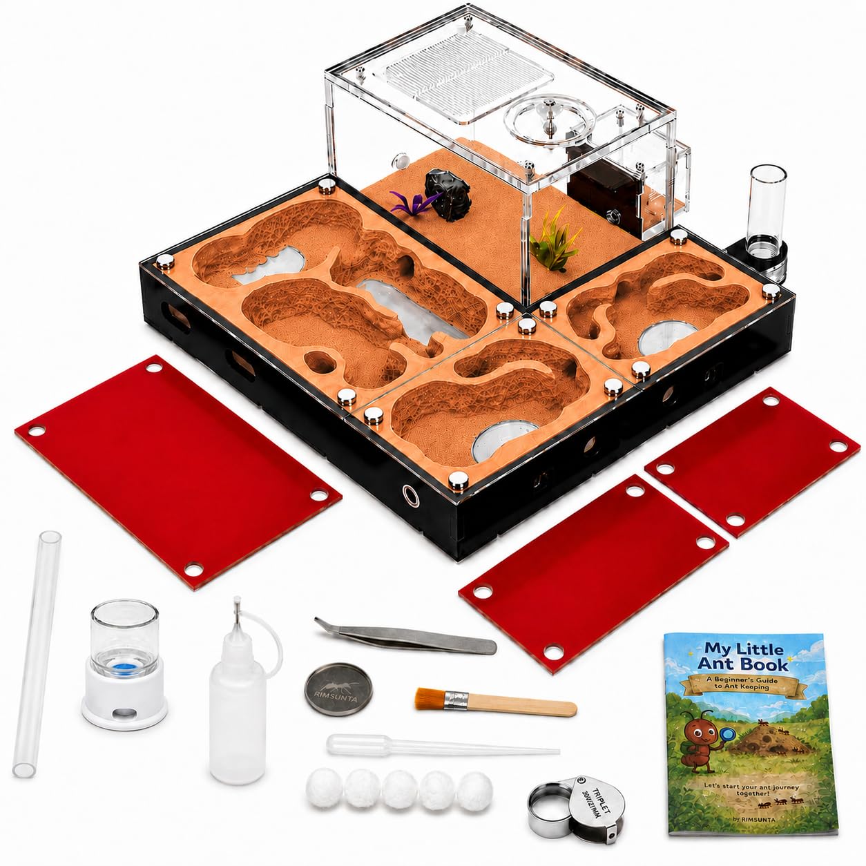 Photo 1 of Rimsunta Modular Ant Nest - Orange