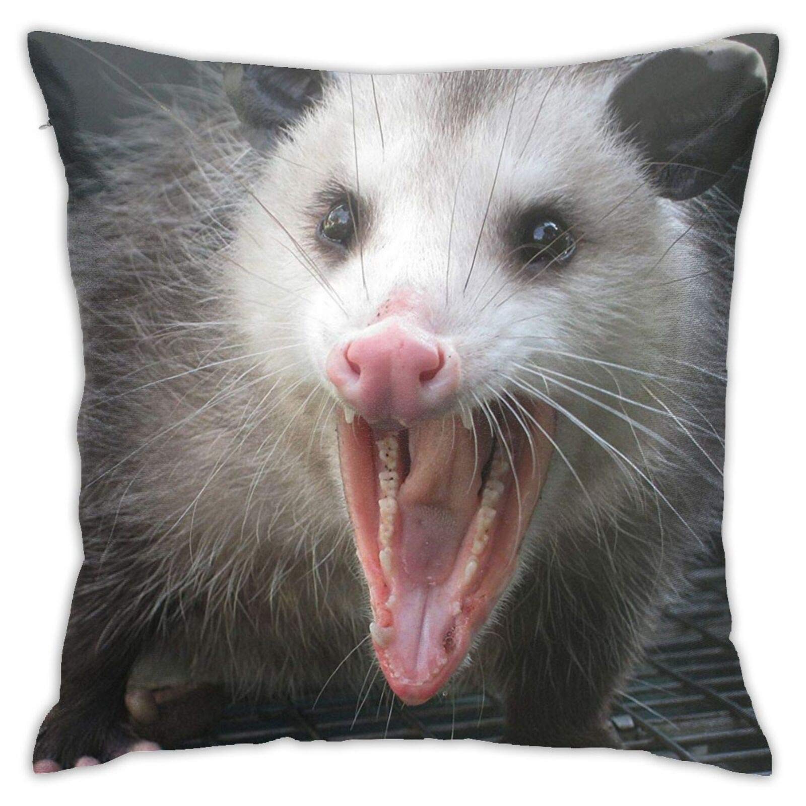 antoipyns Opossum Possum Hidden Zipper Home Sofa Decorative Throw Pillow Cover Cushion Case Square 18x18 Inch Two Sides Design Printed Pillowcase…