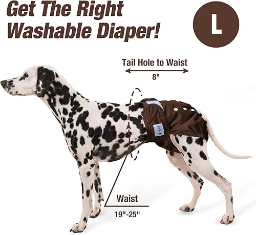 Miniatura 54 de Pet Soft Washable Female Diapers (3 Pack) Female Dog Diapers, Comfort Reusable Doggy Diaper for Girl Dog in Period Heat (Sprightly, XS)