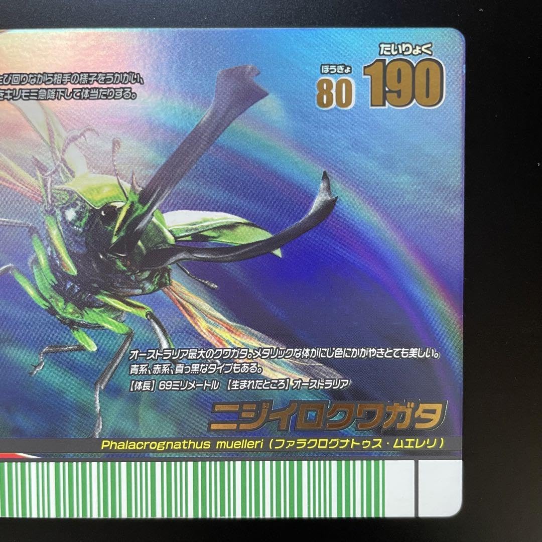 Amazon.co.jp: 甲虫王者ムシキング ニジイロクワガタ 2008夏レインボー 