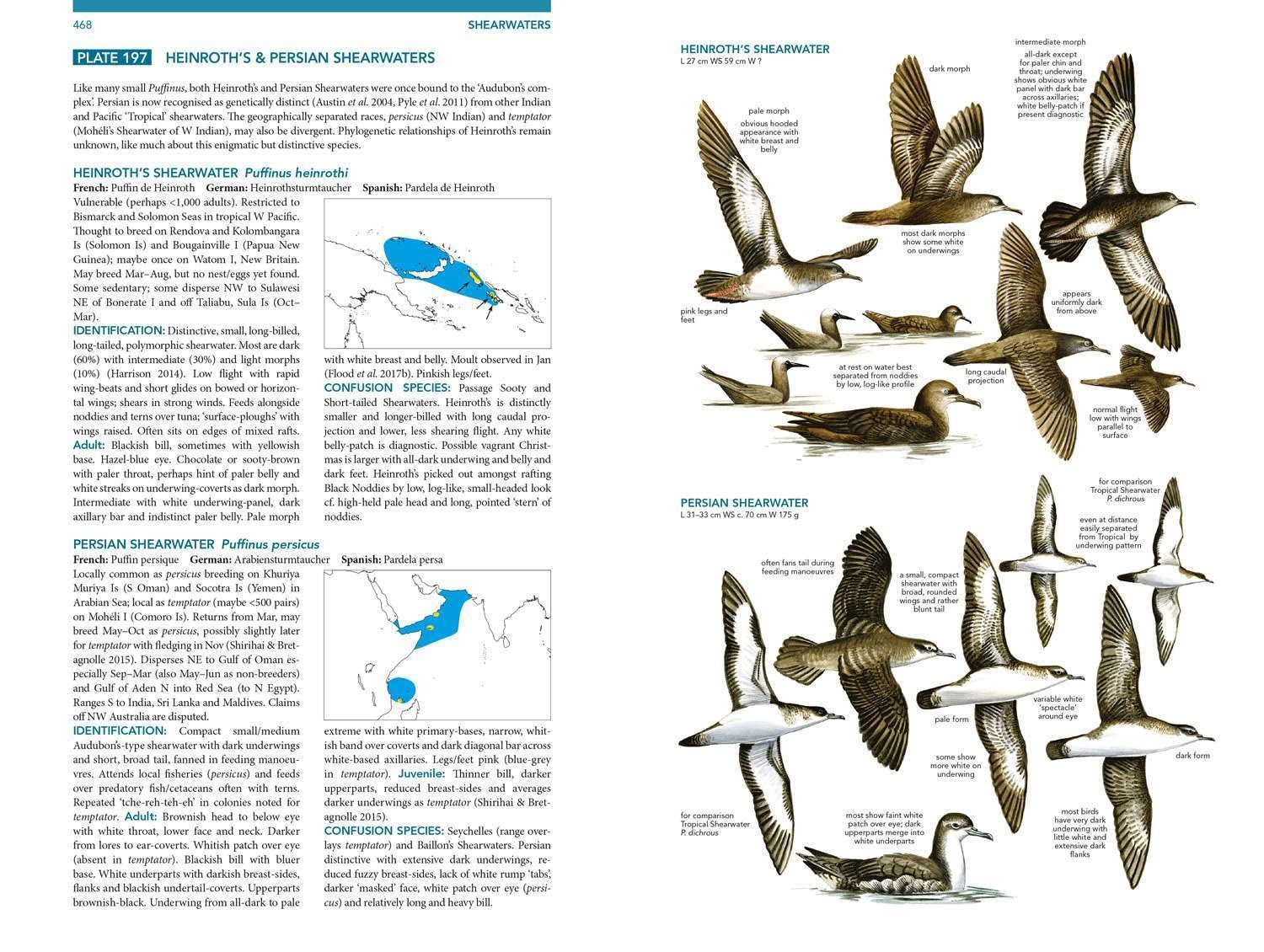 Seabirds. The New Identification Guide