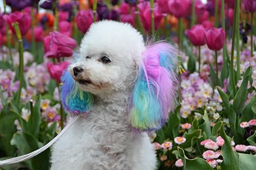 Miniatura 7 de Warren London - Champú de color para perros Canine Color Semi Permanente, una opción de mayor duración para teñir el pelo de los perros  Tinte