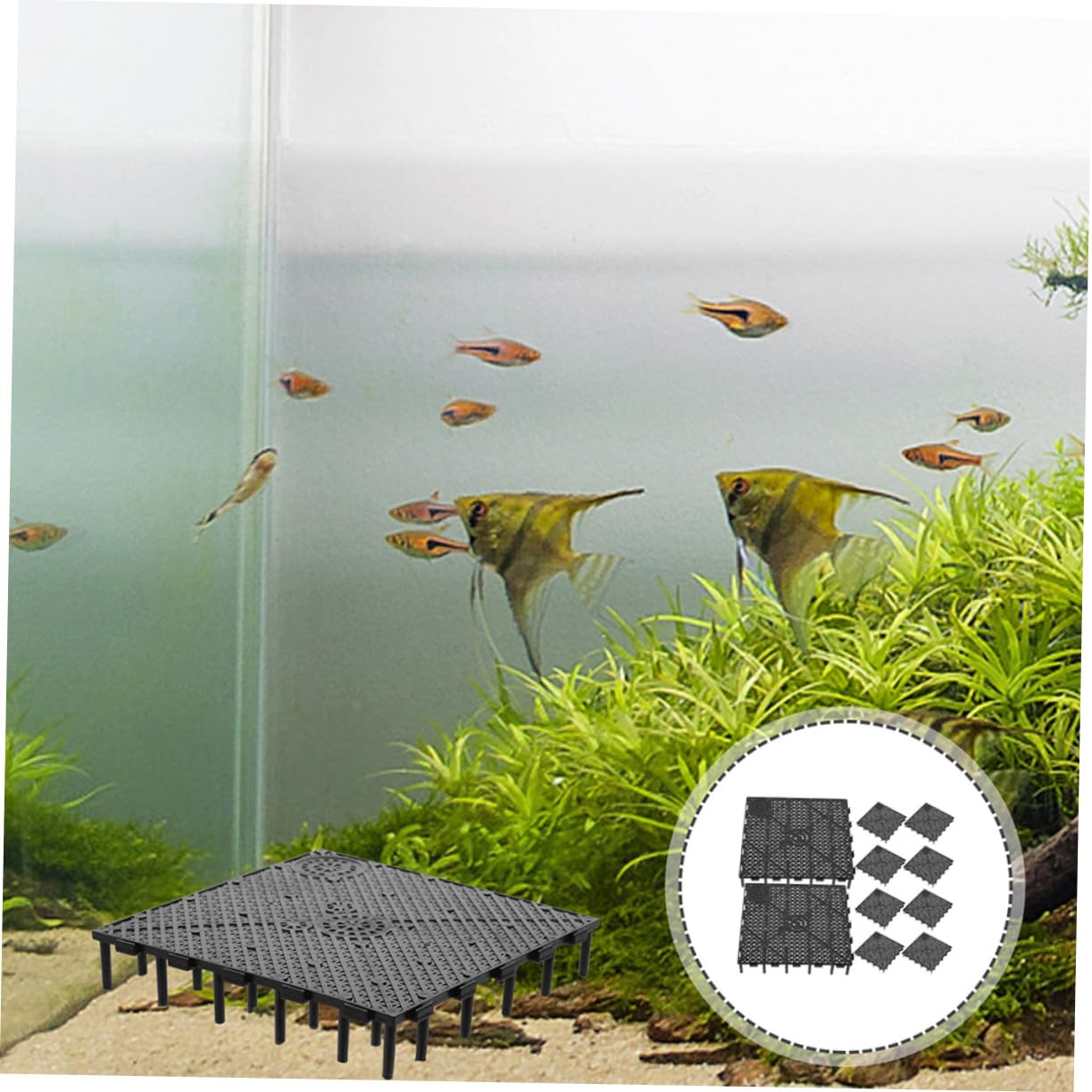 BESPORTBLE 12 Stück Aquariumfilterboden aus Pp Schwarze Isolationsplatten zur Unterteilung und Abdeckung für Zuchtbecken bei Aufzucht von Jungfischen