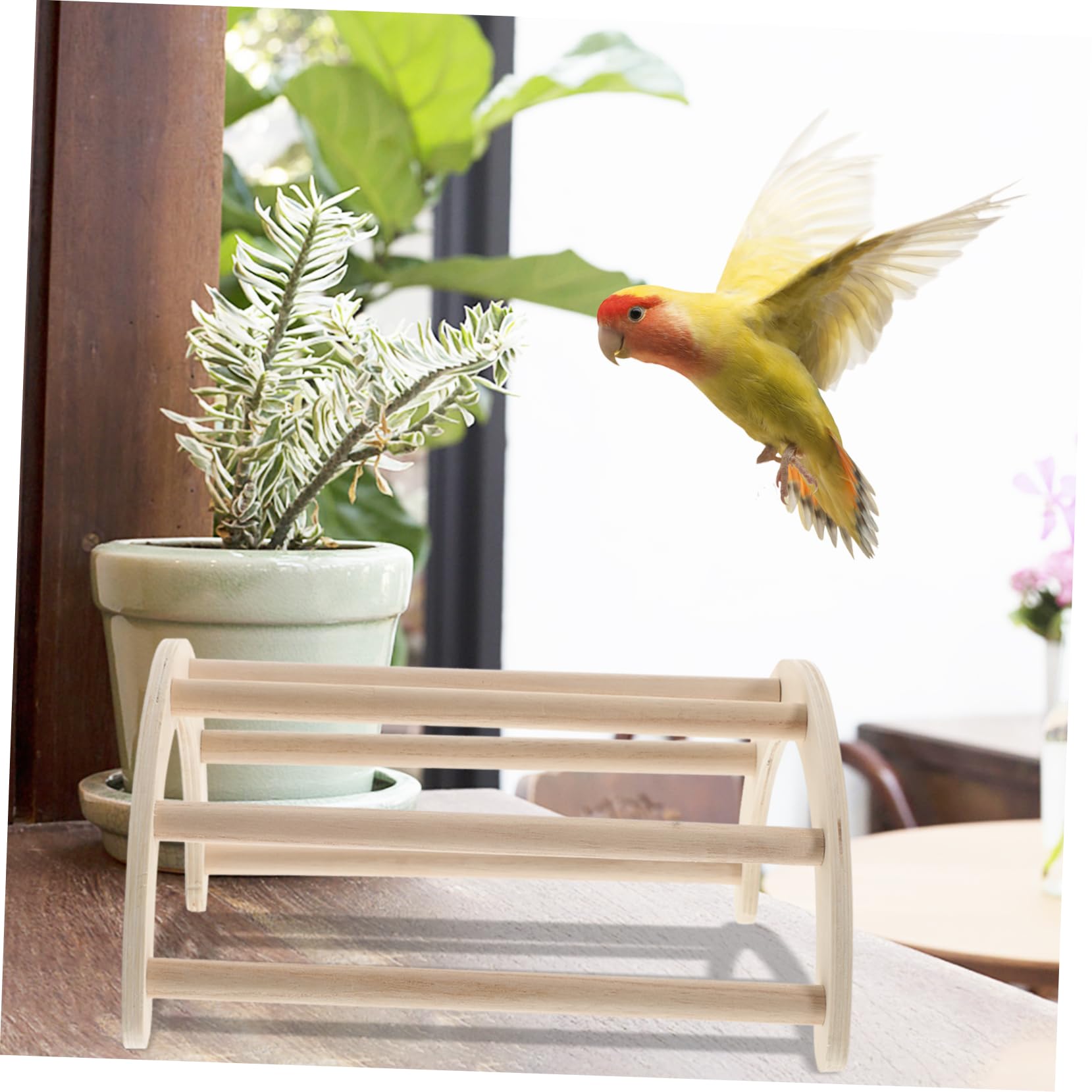 小型鳥用木製スタンド おやつボール付き*6 小型鳥用木製スタンド