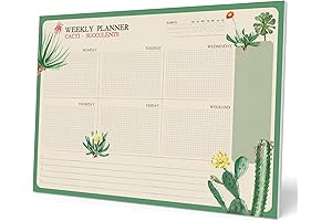 Cactus Planner Desk Pad Daily Weekly Monthly Calendar 2021-2022