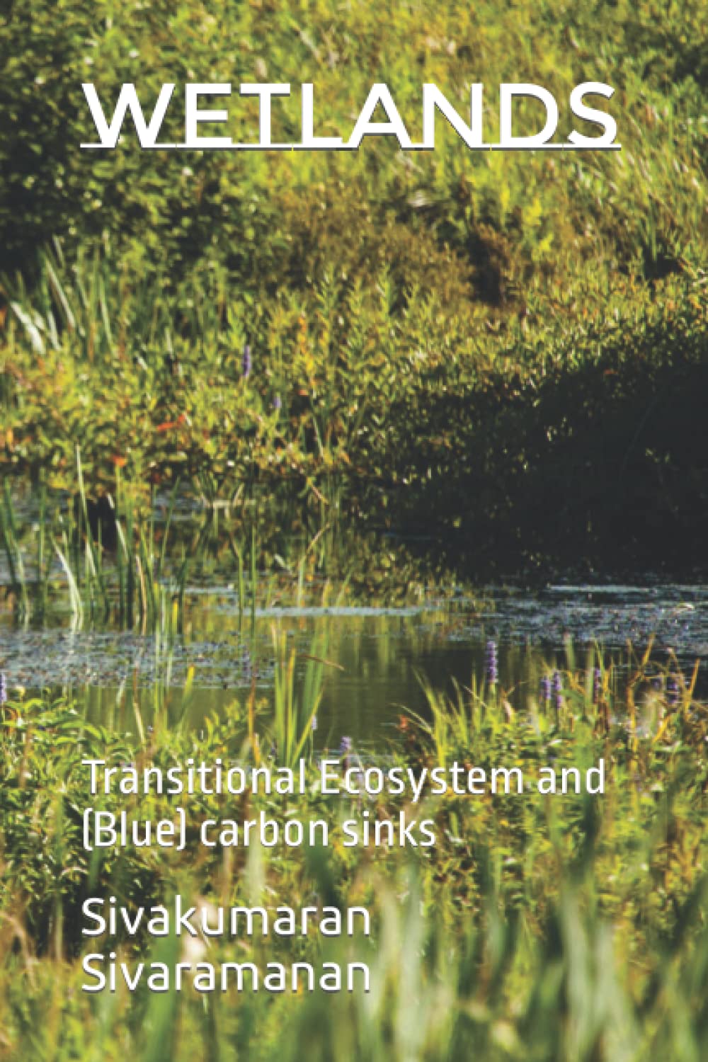 Wetlands: Transitional Ecosystem and (Blue) carbon sinks: Sivaramanan ...