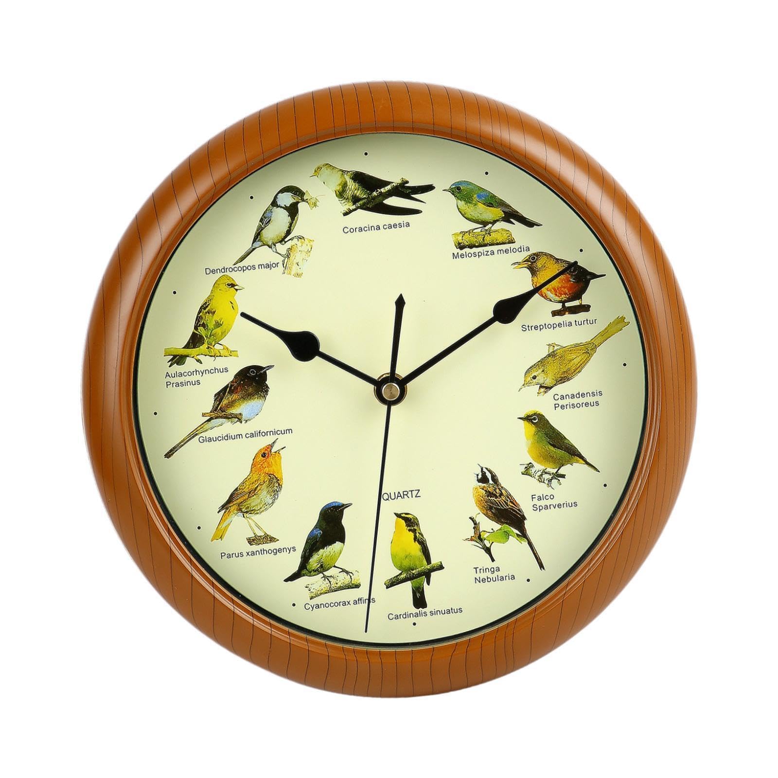 QLECXZI Bird Clock With Distinctive Sound Suitable For Offices 6 Inches Easy To Hang Musical Birds Decorative Singing Bird Wall Clock With Sound Wall Hanging