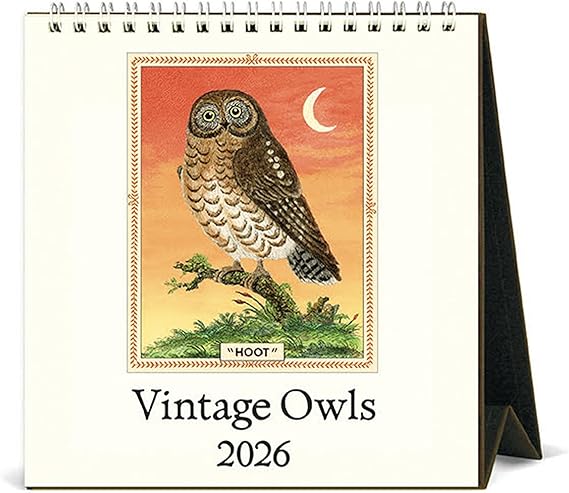 Cavallini 2026 Owls Easel Desk Calendar, 6x6.5 Inches, 12