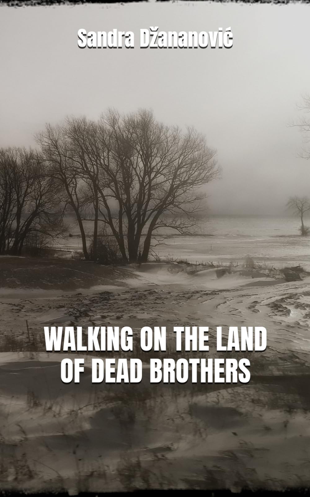 Walking On The Land Of Dead Brothers