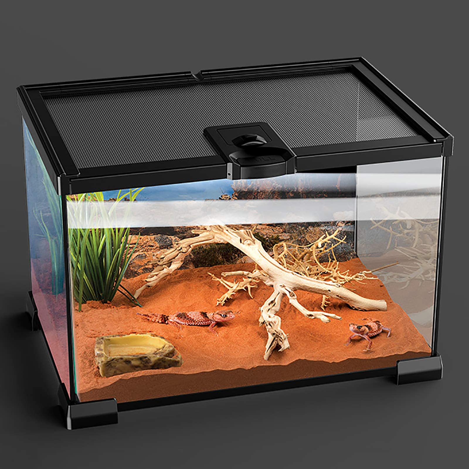 Tanque de Vidrio para Acuario de Reptiles, Caja de Transporte de alimentación de Anfibios Interior para Serpiente Tortuga Lagarto (30x30x29cm)
