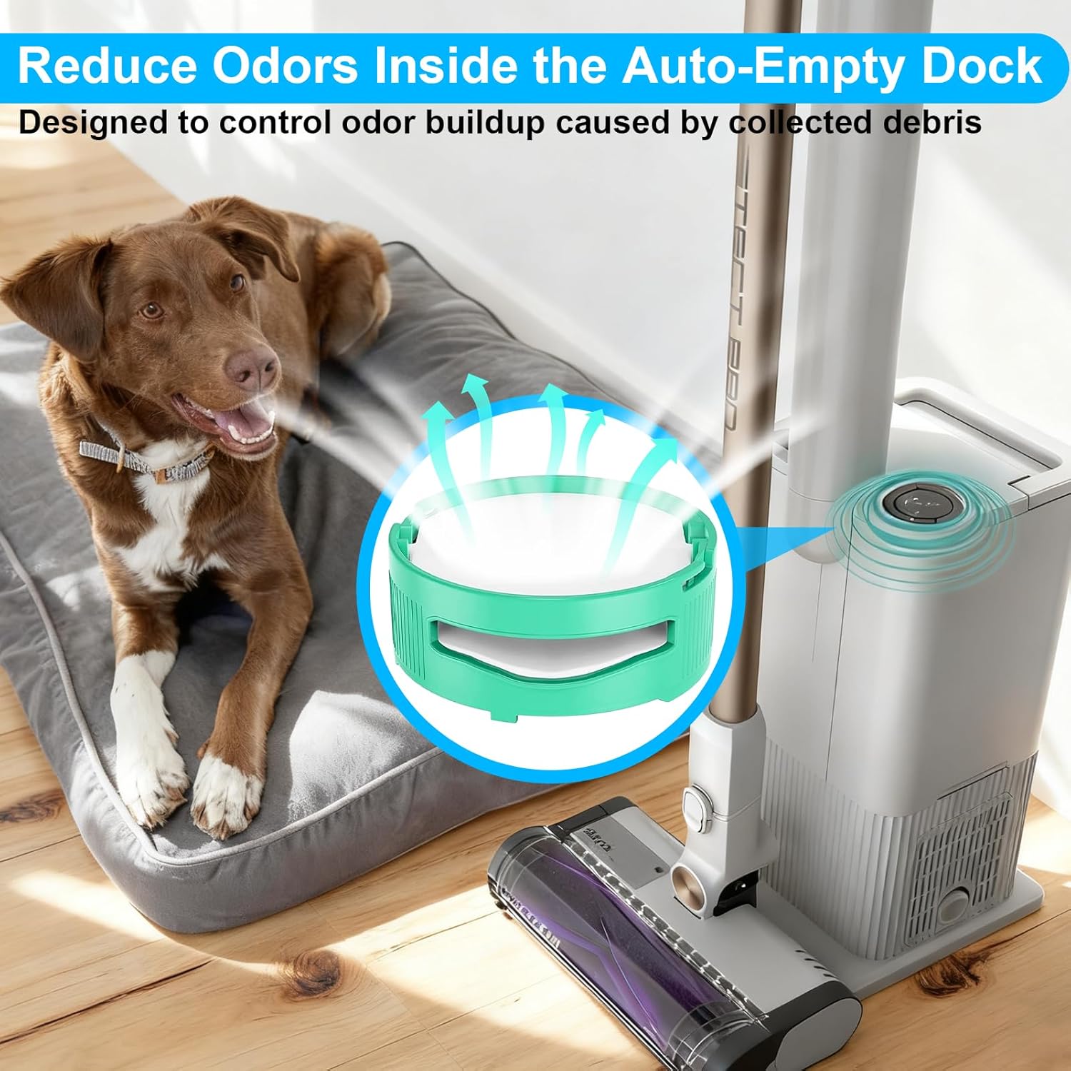 IW3511 Filters for Shark Detect Pro Cordless Vacuum with Auto-empty System, Complete Replacement set Compatible with IW3511 IW3120 IW3525Q IW3615, Helps Remove Hair, Pet Dander, Pollen, Dust, Odor