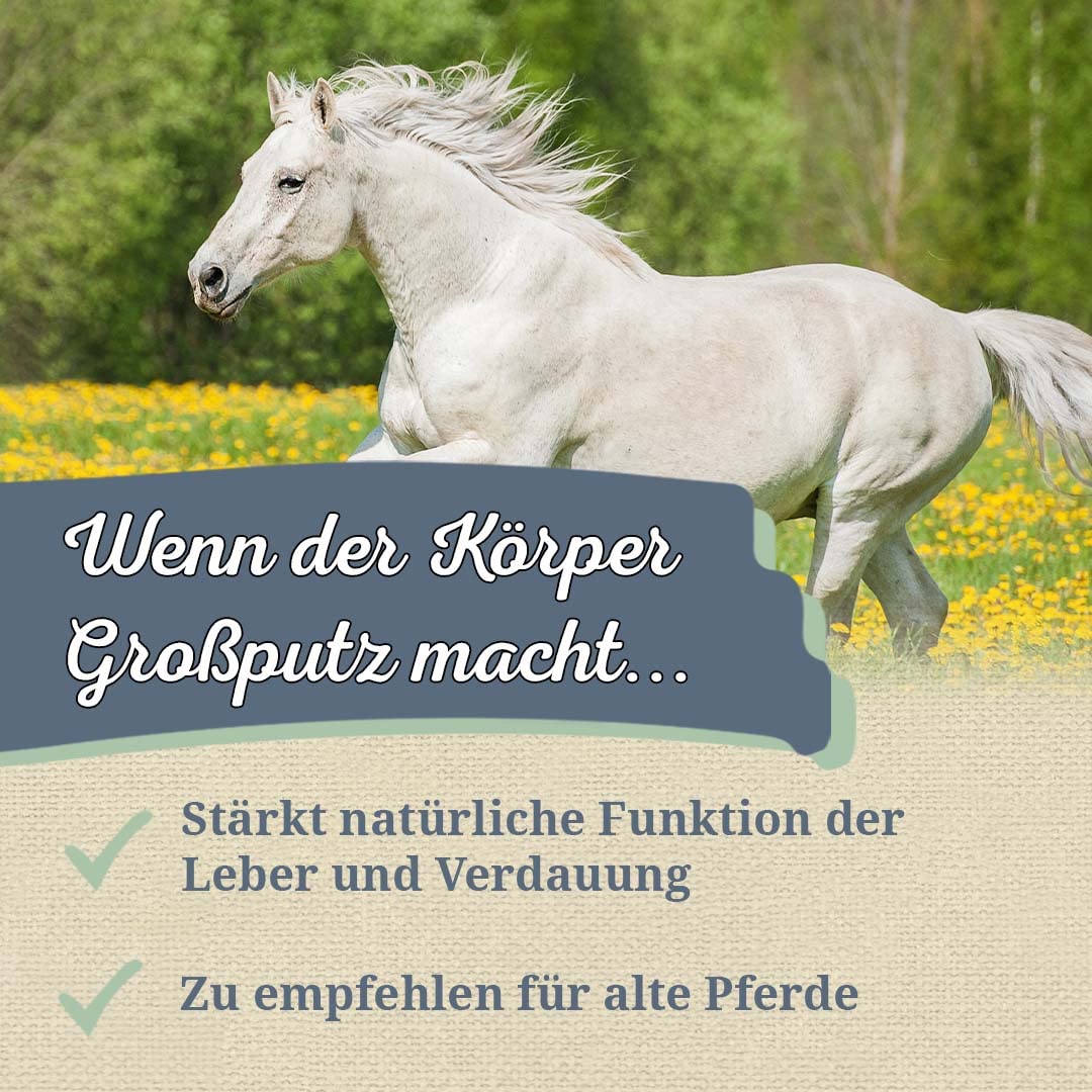 Krauterie Löwenzahn (Kraut & Wurzel) für Pferde, geschnitten (2000 g) | Artgerechtes Einzelfuttermittel für Pferde in Spitzenqualität - frei von Zusatzstoffen, zuckerfrei, getreidefrei, melassefrei