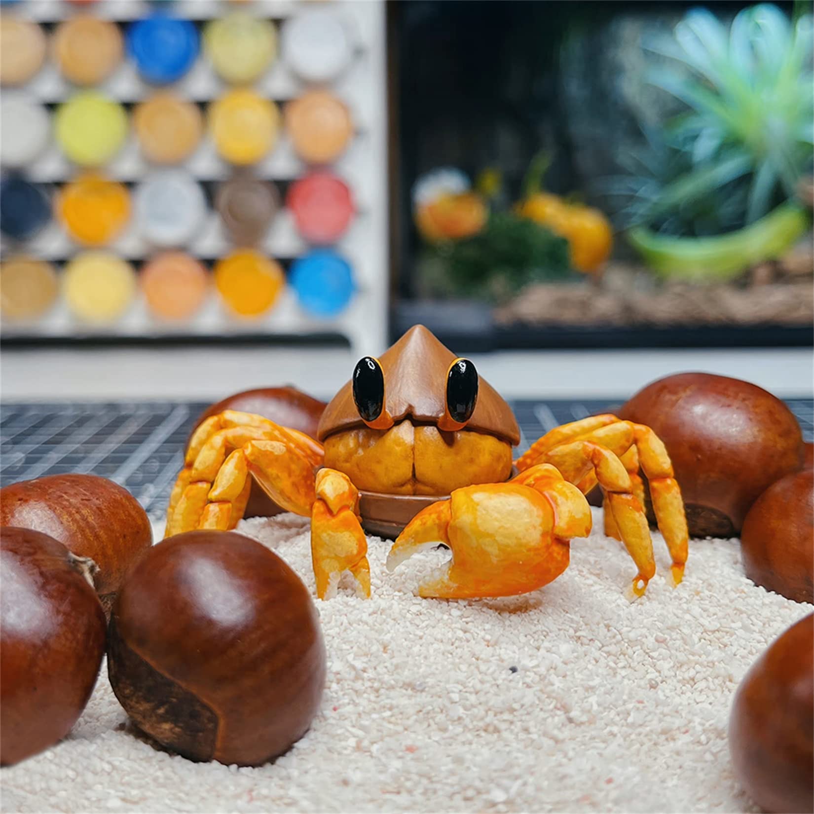 Amazon | BACALYSO | クリカニ 栗 蟹 海洋生物 ナッツ 動物 リアル