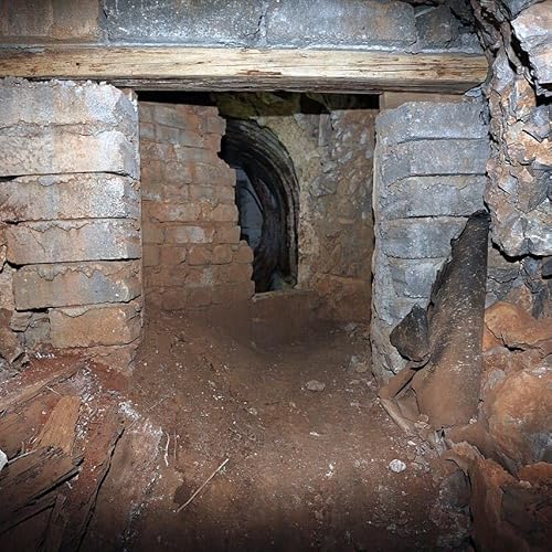 #662 - Operazione Tracer: murati vivi per 7 anni a spiare i nazisti copertina