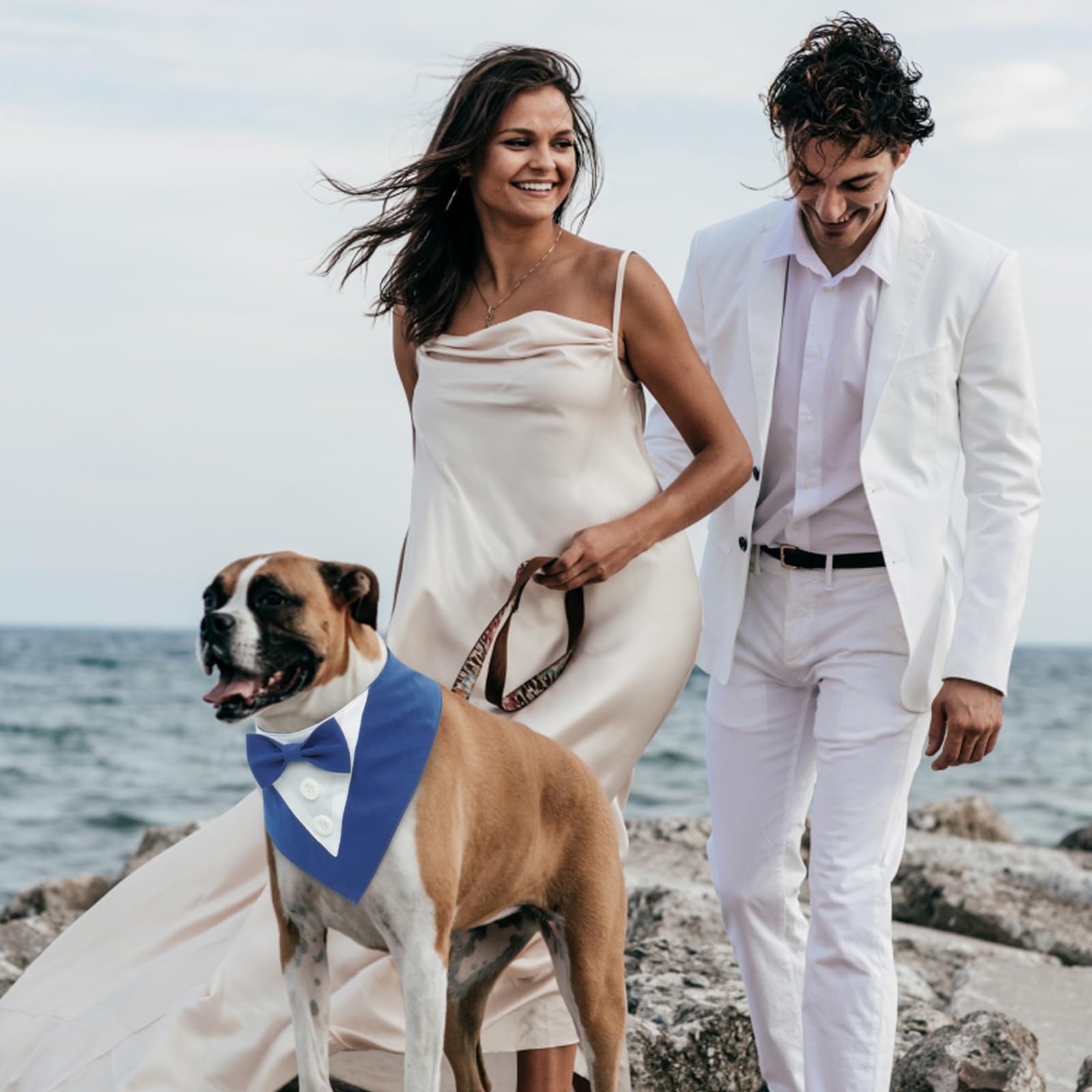 Smoking Bandana Per Cani, Sciarpa Triangolare Regolabile Blu - Matrimonio Festa Compleanno