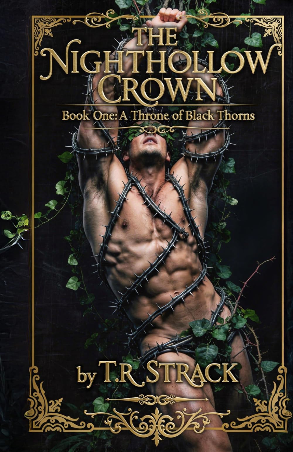 THE NIGHTHOLLOW CROWN: A Spicy Fae Dark MM Romance