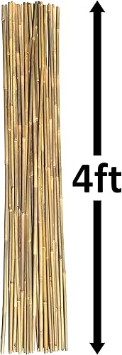 Miniatura 2 de Postes de bambú natural, estacas de jardín ecológicas de 4 pies de largo, diámetro de 38 pulgadas (25 unidades)