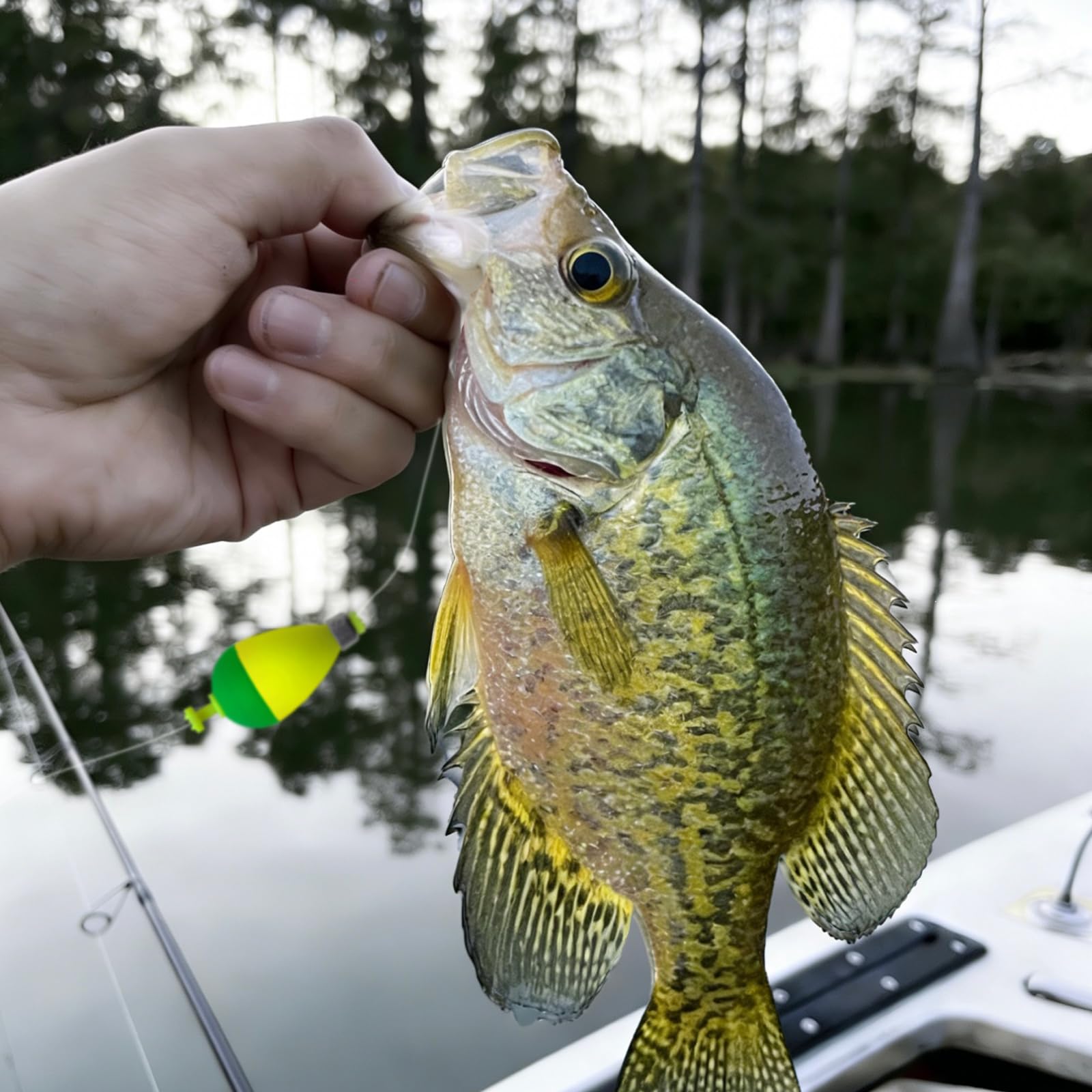 12 szt. spławików wędkarskich, zatrzaskowy spławik wędkarski, korki obciążone bobberki do łowienia crappie panfish bluegill pstrąg