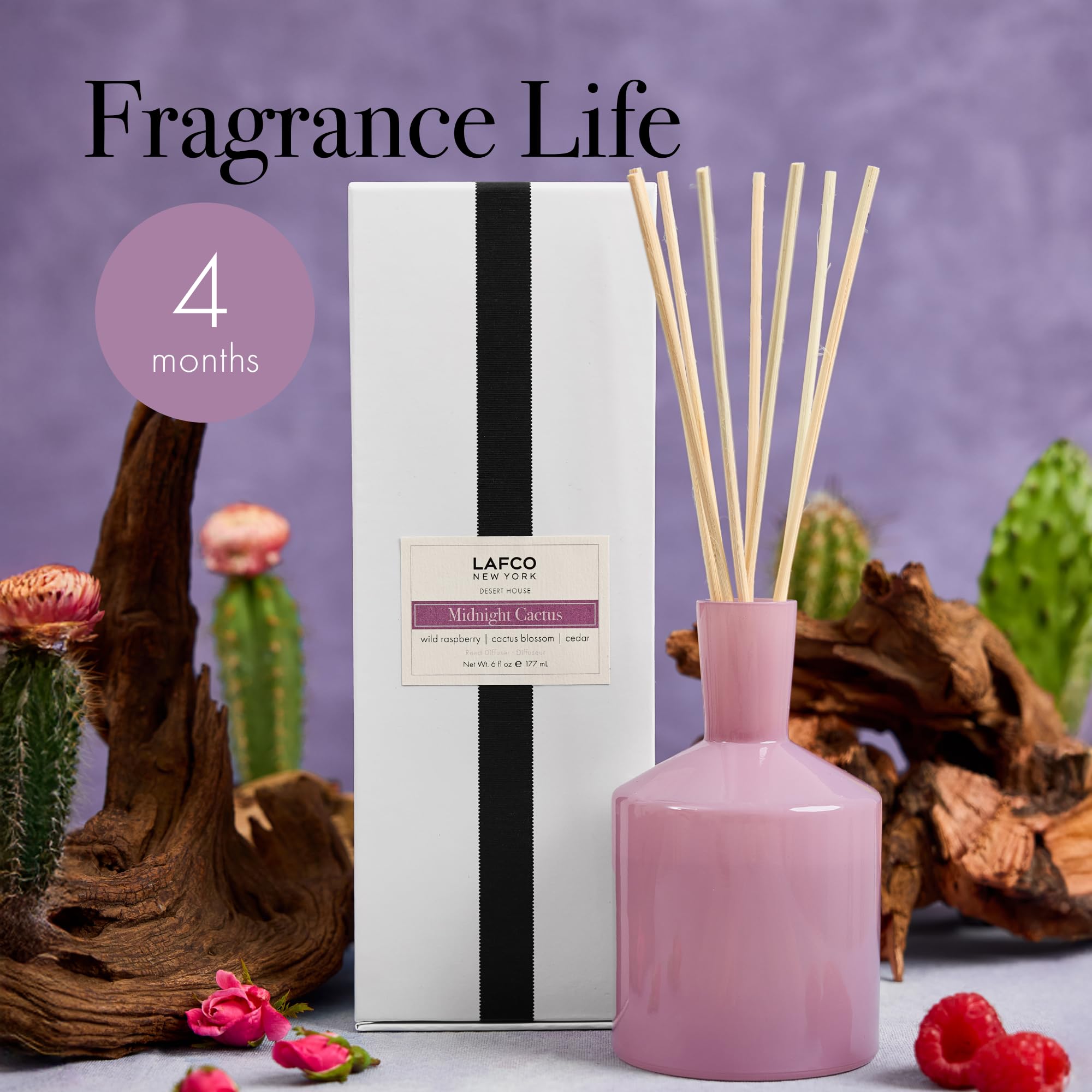 Amazon.com: LAFCO New York Classic Reed Diffuser, Midnight Cactus