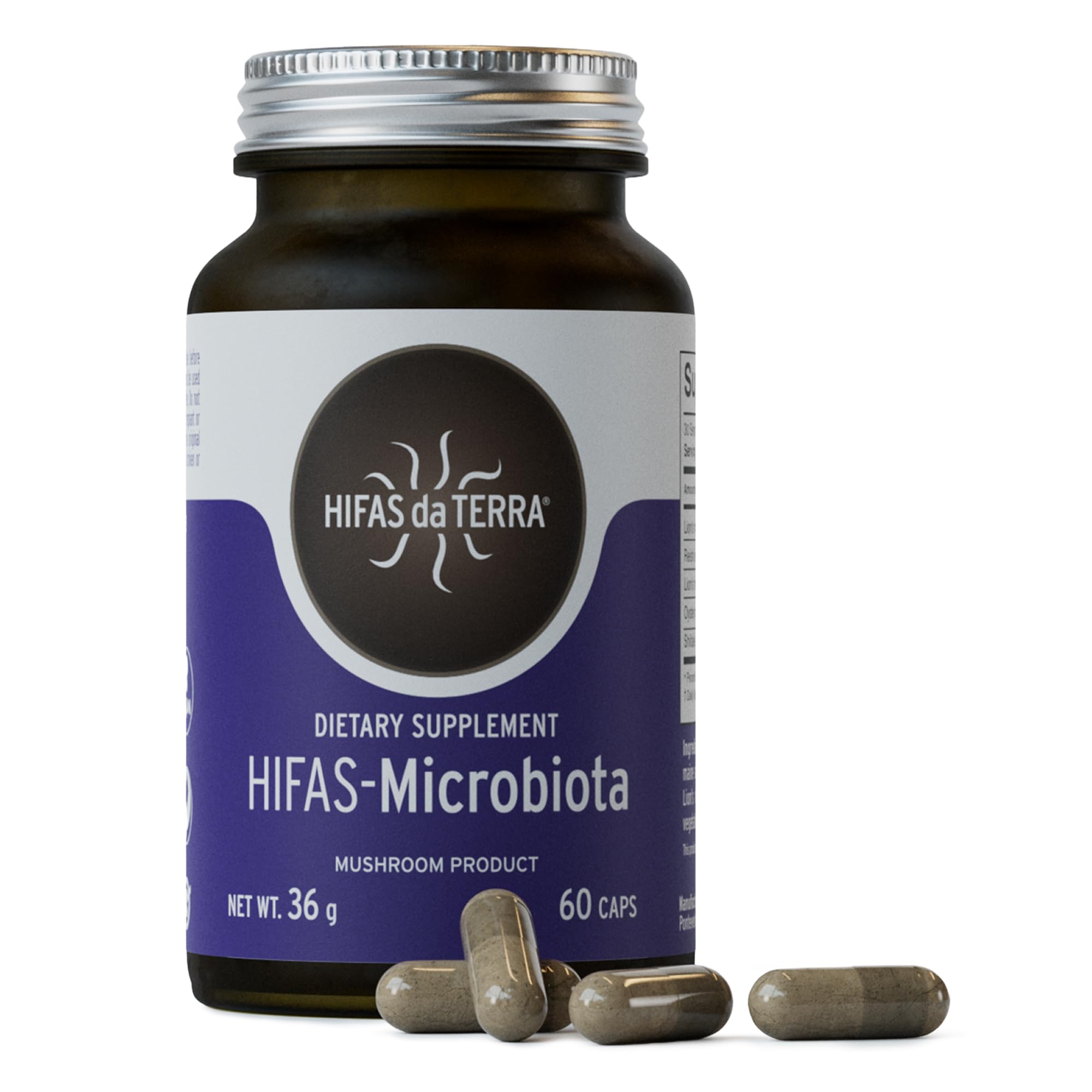 Reishi Beta-Glucans And Brain Health: The Gut-Brain Connection