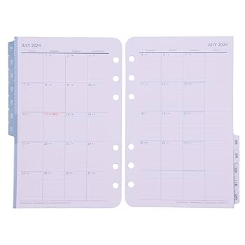 Amazon.com : Franklin Planner Original Daily Refill, 12
