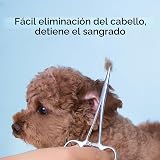 Ver la foto 6