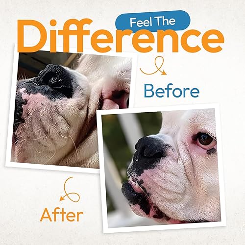 Miniatura 7 de Toallitas antiarrugas para perros  100 toallitas antiarrugas para perros Bulldog francés, Bulldog inglés, Pugs  Toallitas grandes de 3.15 pulgadas