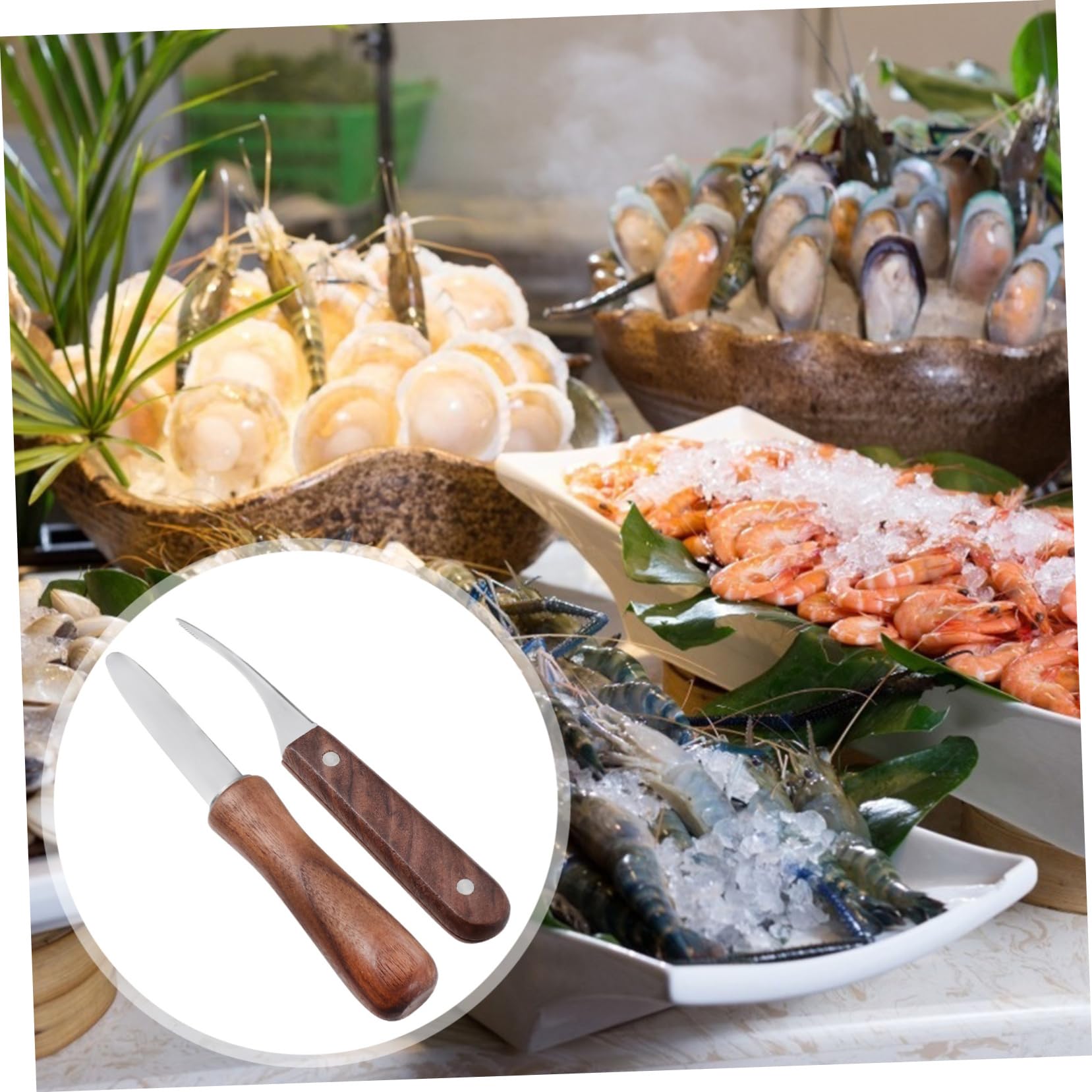 SOLUSTRE 4piezas Cuchillo De Marisco De Acero Inoxidable Herramienta De Cocina para Abrir Ostras y Pelar Camarones De Mango para Preparar Mariscos Casa