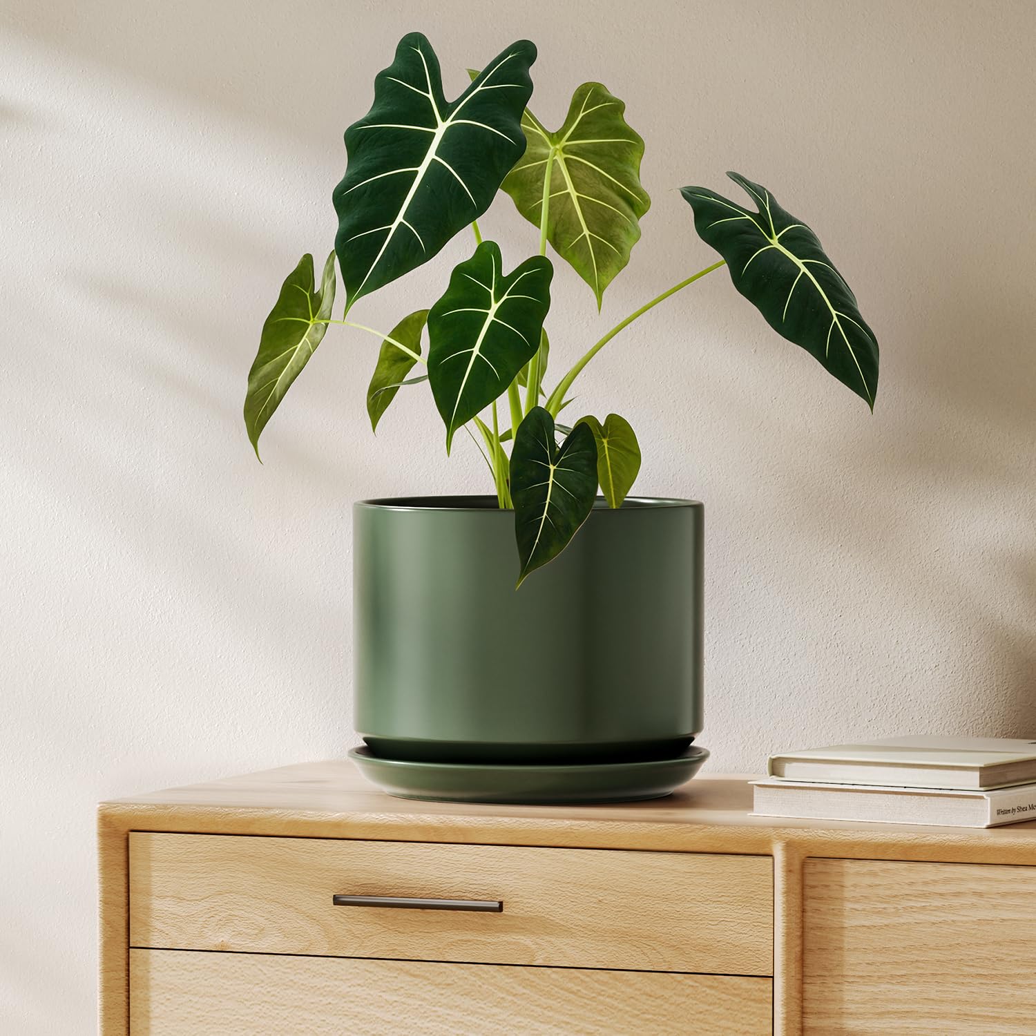 LE TAUCI Ceramic Pots for Plants, 8 Inch