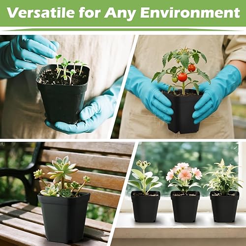 Miniatura 6 de Macetas cuadradas para vivero de 4 pulgadas, 60 unidades, macetas de cultivo de semillas de plástico para plántulas (negro, 4 pulgadas, 60 unidades)