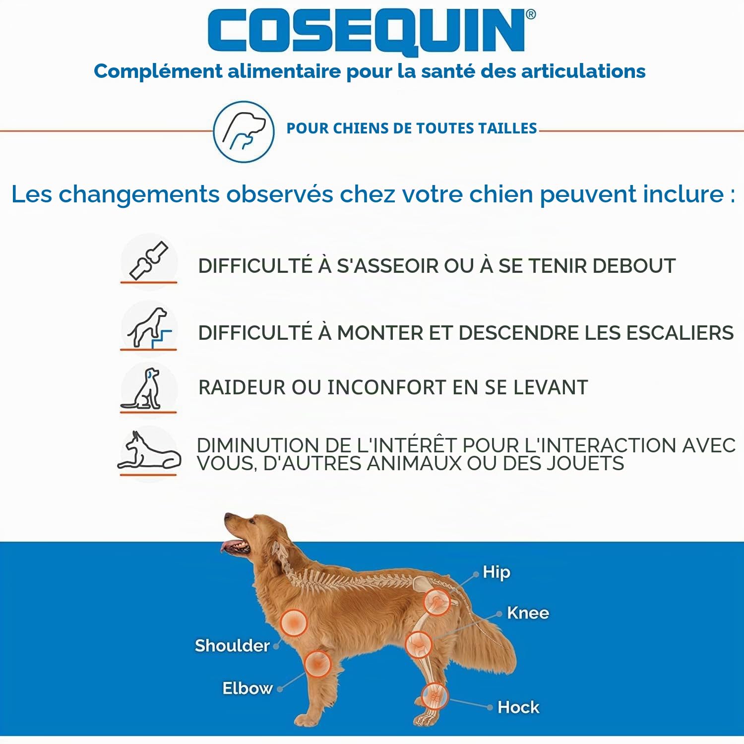 Cosequin DS Plus Msm commun Supplément santé pour Les Chiens 180 comprimés à croquer