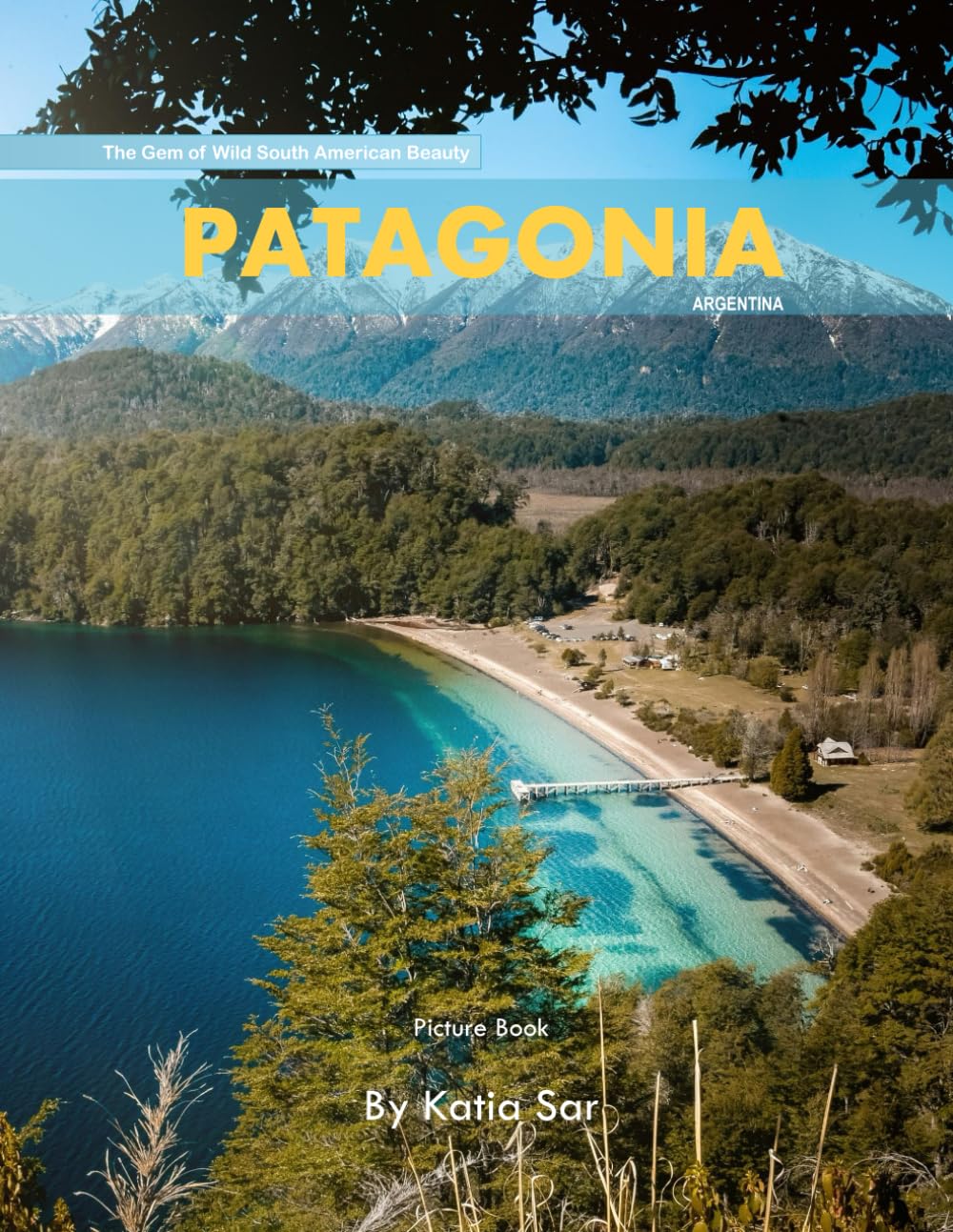 Patagonia: A Perfect Coffee Table Picture Book - Travel and Nature lovers.