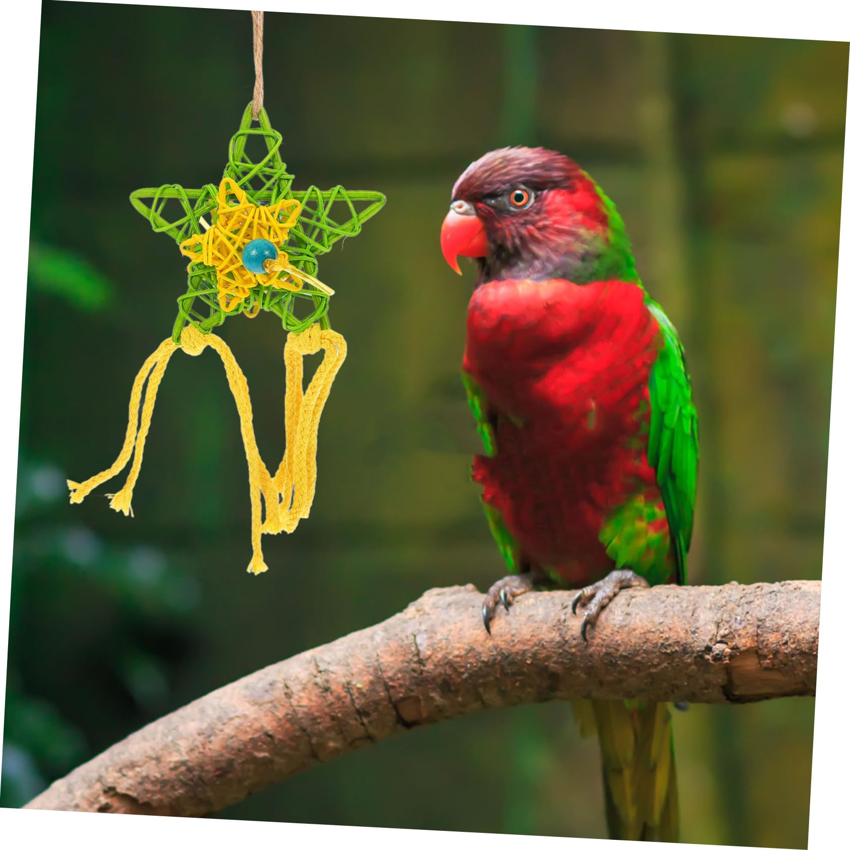 Beaupretty 9pièces Jouets à Mâcher pour Oiseaux Jouets pour Perroquets Naturel Accessoires De Cage pour Oiseaux pour Parrots Et Perroquets