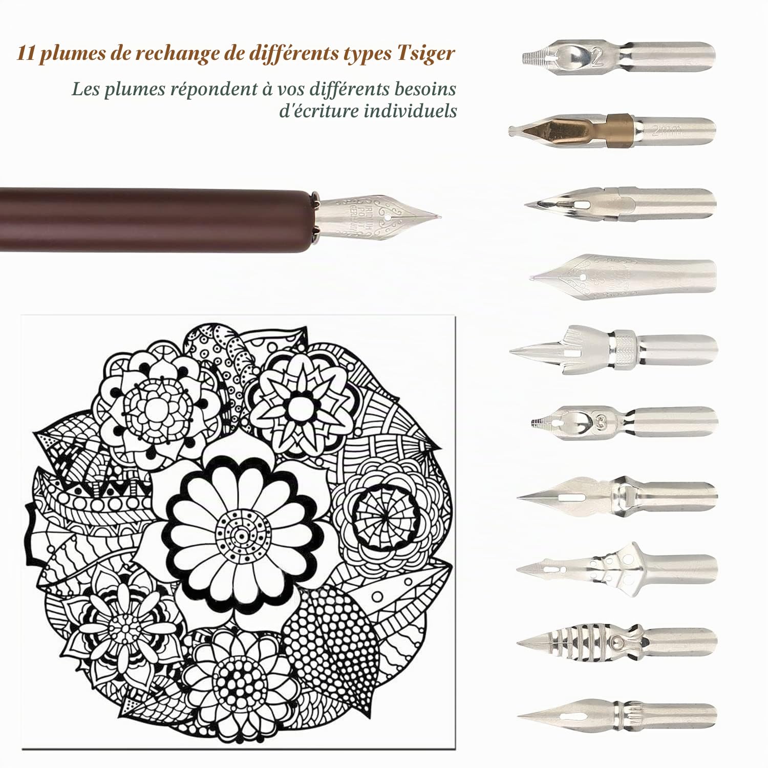 hhhouu Stylos Plume de Calligraphie en Bois Encre Set, Fountain Dip Pen avec 10 Plumes de Rechange pour Signatures, Calligraphie, Dessin, Ecriture, Décoration et Cadeau HO-Q-301