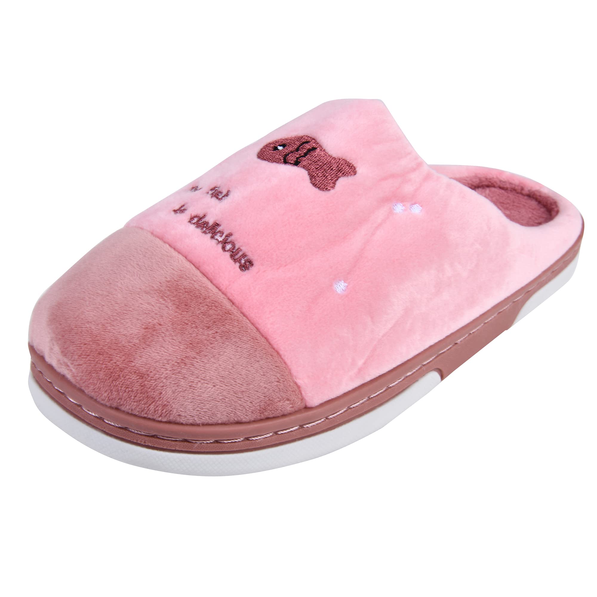 Irsoe Comfortable Indoor/Outdoor Soft Bottom Fur Slippers |Womens Flipflop |Womens Dolphin Designed Slippers |Girls Slippers flip Flop Peach (B09NMFKT58) Amazon Price History, Amazon Price Tracker