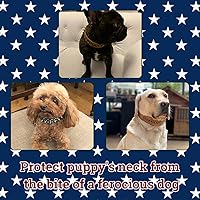 Vista 6 de Collar de perro con tachuelas y tachuelas cromadas redondas antimordeduras (rosa, S)