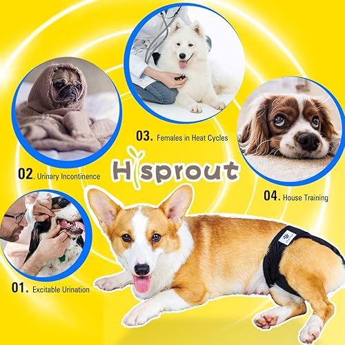 Miniatura 7 de Hi Sprout Pañal para perro hembra, reutilizable, lavable, duradero, absorbente, pañales, pantalones para perritas, flores retro, talla XS