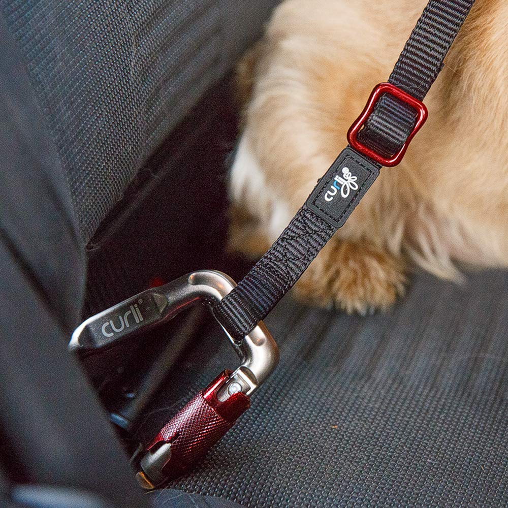 curli Car Safety Belt S