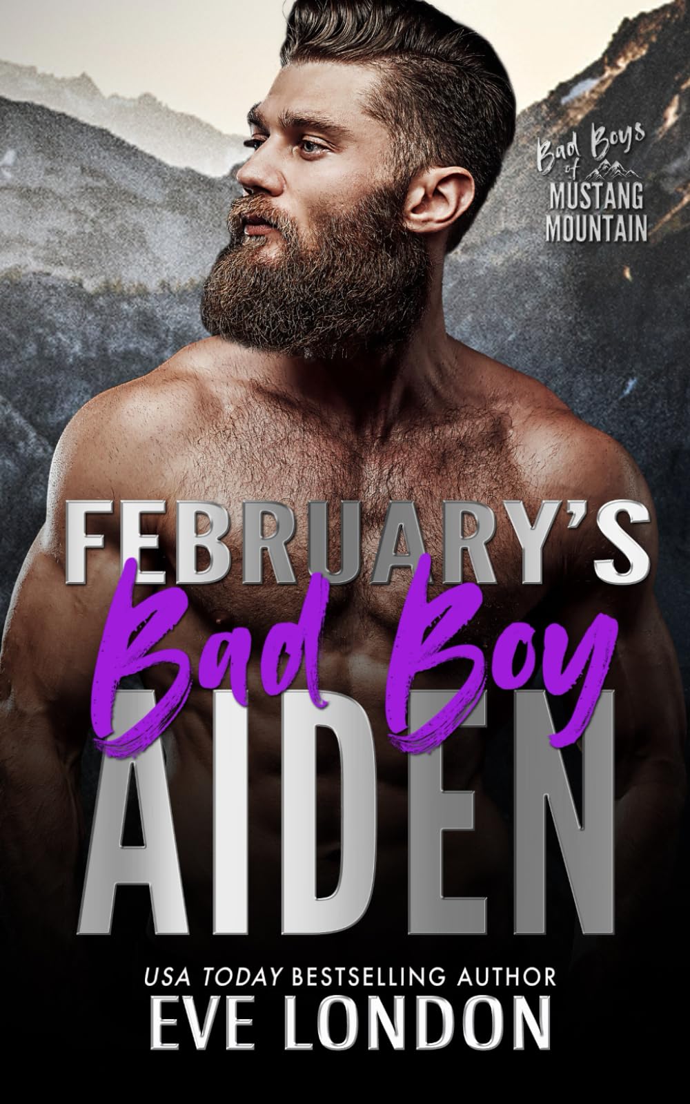 February's Bad Boy - Aiden: A grumpy sunshine, opposites attract, forced proximity romance (Bad Boys of Mustang Mountain)