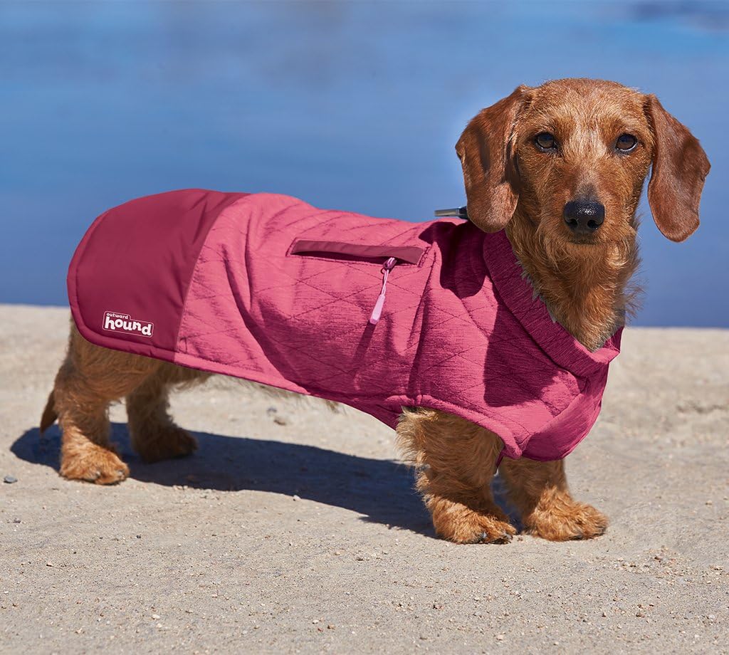 thinsulate dog coat