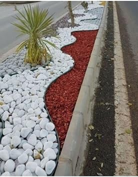 Asenya White Dolomite Stone 10 Kg 4-6 Cm Decorative Stone Garden Ornamental Stone Natural Creek Pebble Stone
