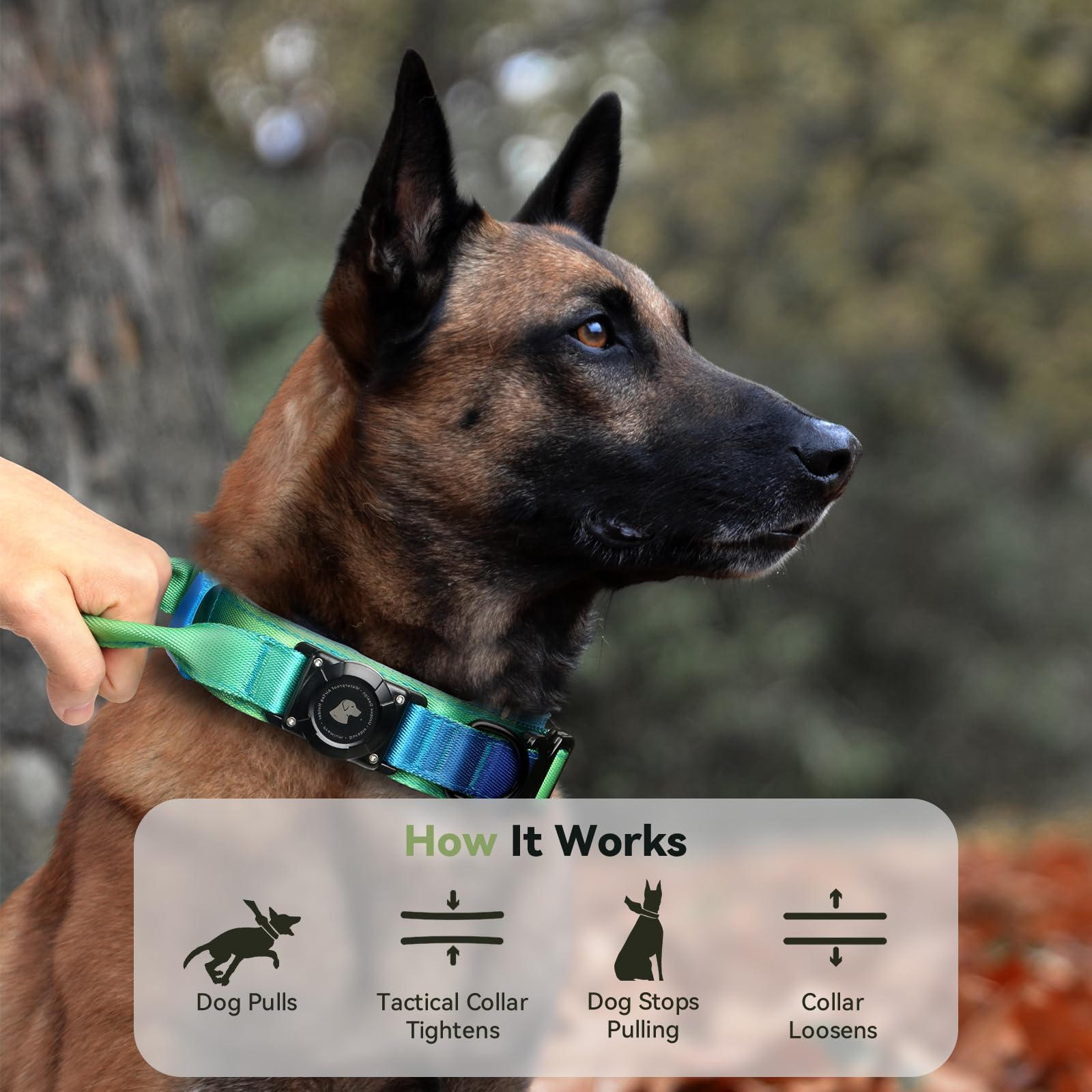 Collare per cani AirTag tattico impermeabile di aggiornamento 2026