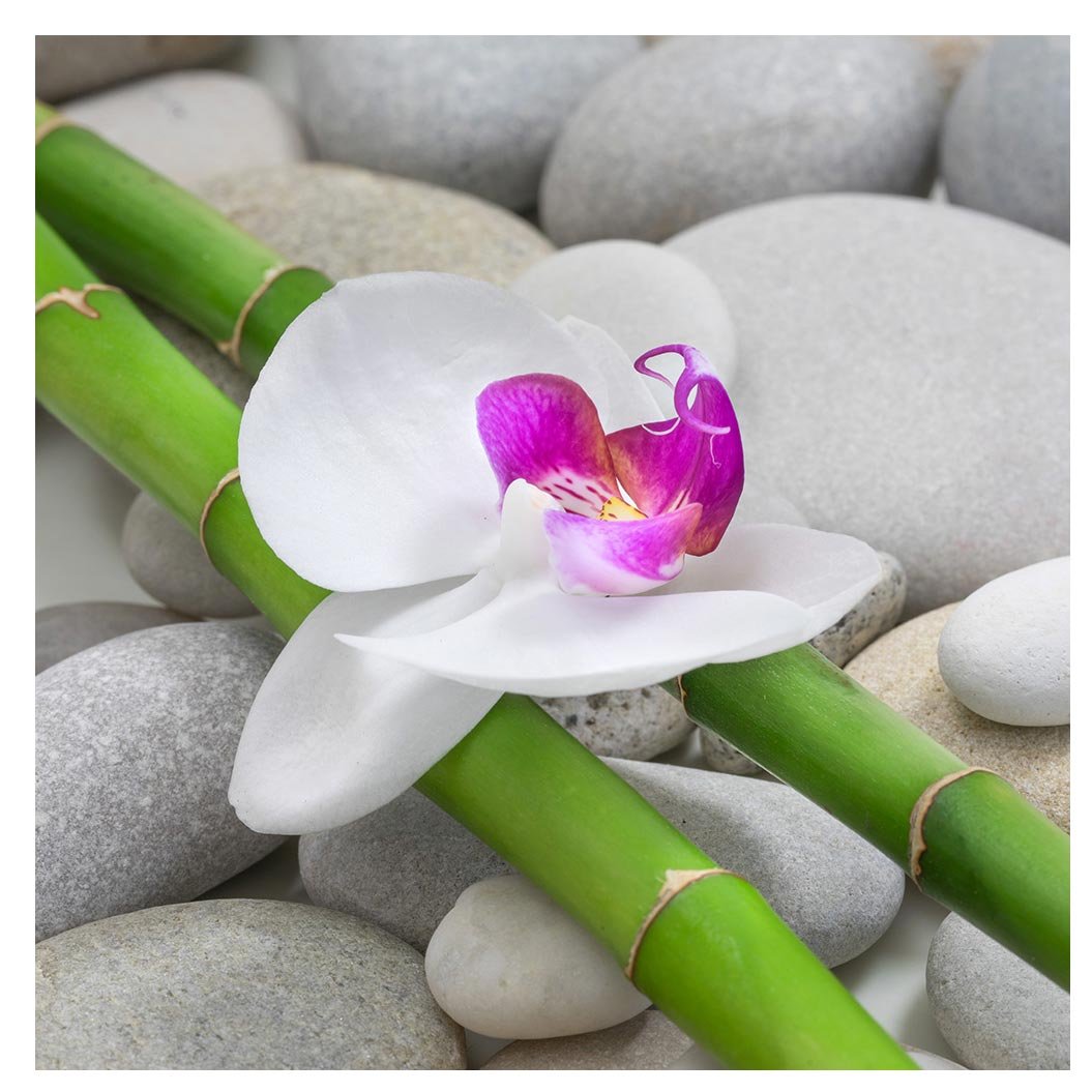 levandeo Glasbild 3er Set je 30 x 30 cm Wandbild Glas Orchideen Bambus Steine Deko Wellness Wanddeko Einrichtung
