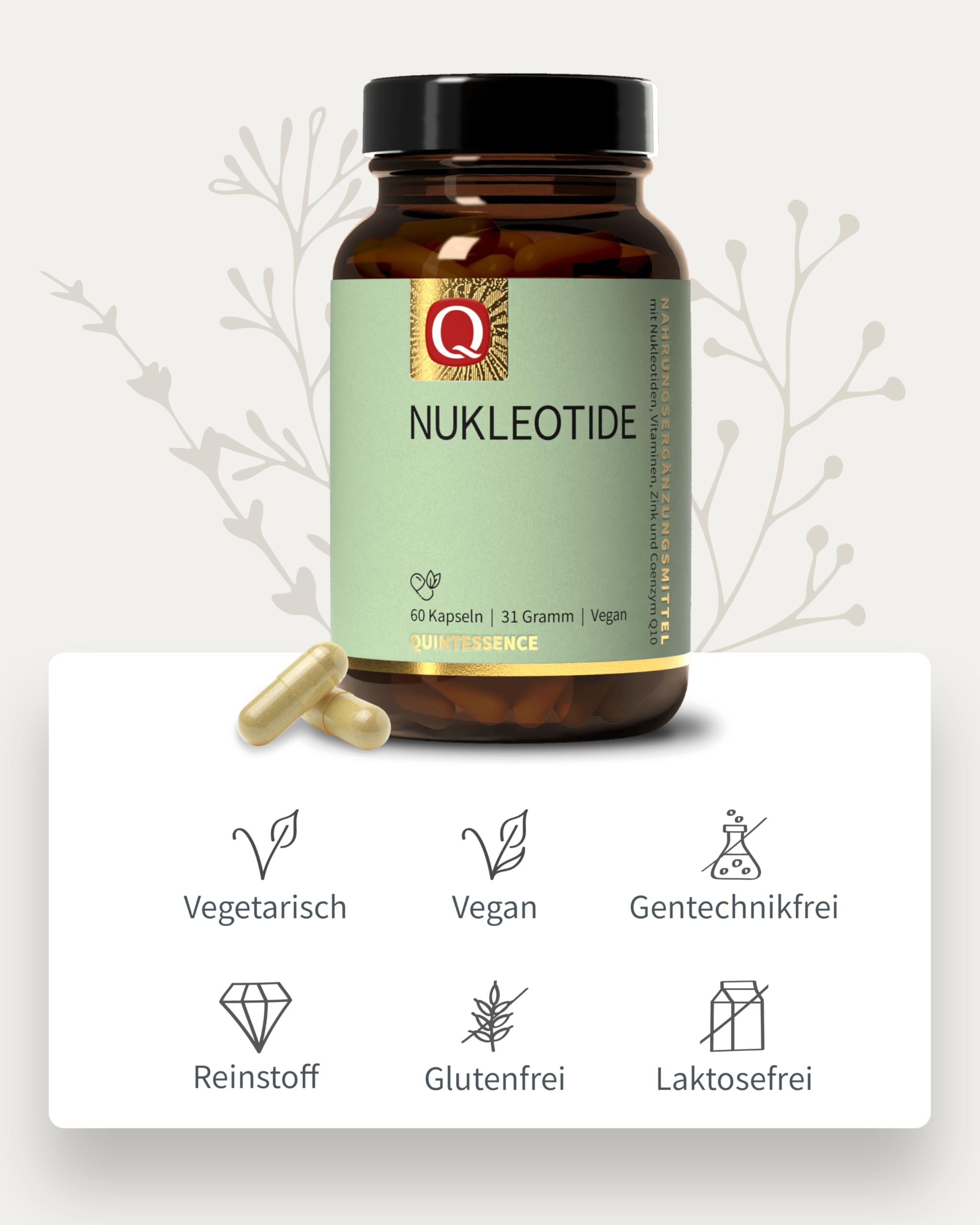 Quintessence Nukleotide Kapseln 60 Stk. - Mit 5 Nukleotiden, Vegan & ohne künstliche Zusatzstoffe, Kapseln mit Coenzym Q10 & Vitamin C, Produziert in Österreich