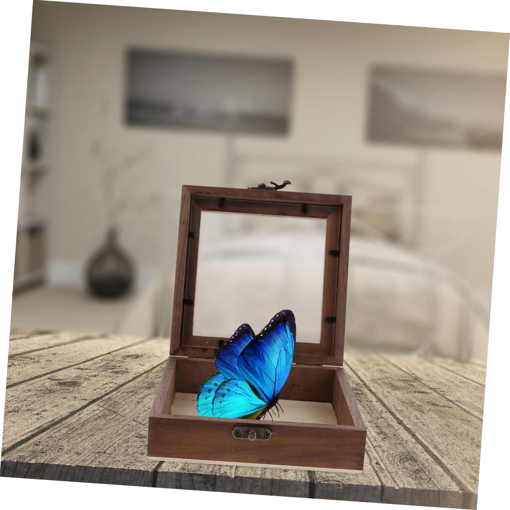 PRETYZOOM Vintage Style Specimen Display Box Wooden Butterfly Storage Pressed Flower Holder