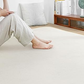SOMANT ラグ 1畳 カーペット 夏用ラグマット 絨毯 滑り止め付き 防音 厚手 防ダニ 防臭 素肌にやさしい 北欧風 おしゃれ 抗菌 床保護 転倒を防ぐ 床暖房対応 ホットカーペット対応 アイボリー100×140cm