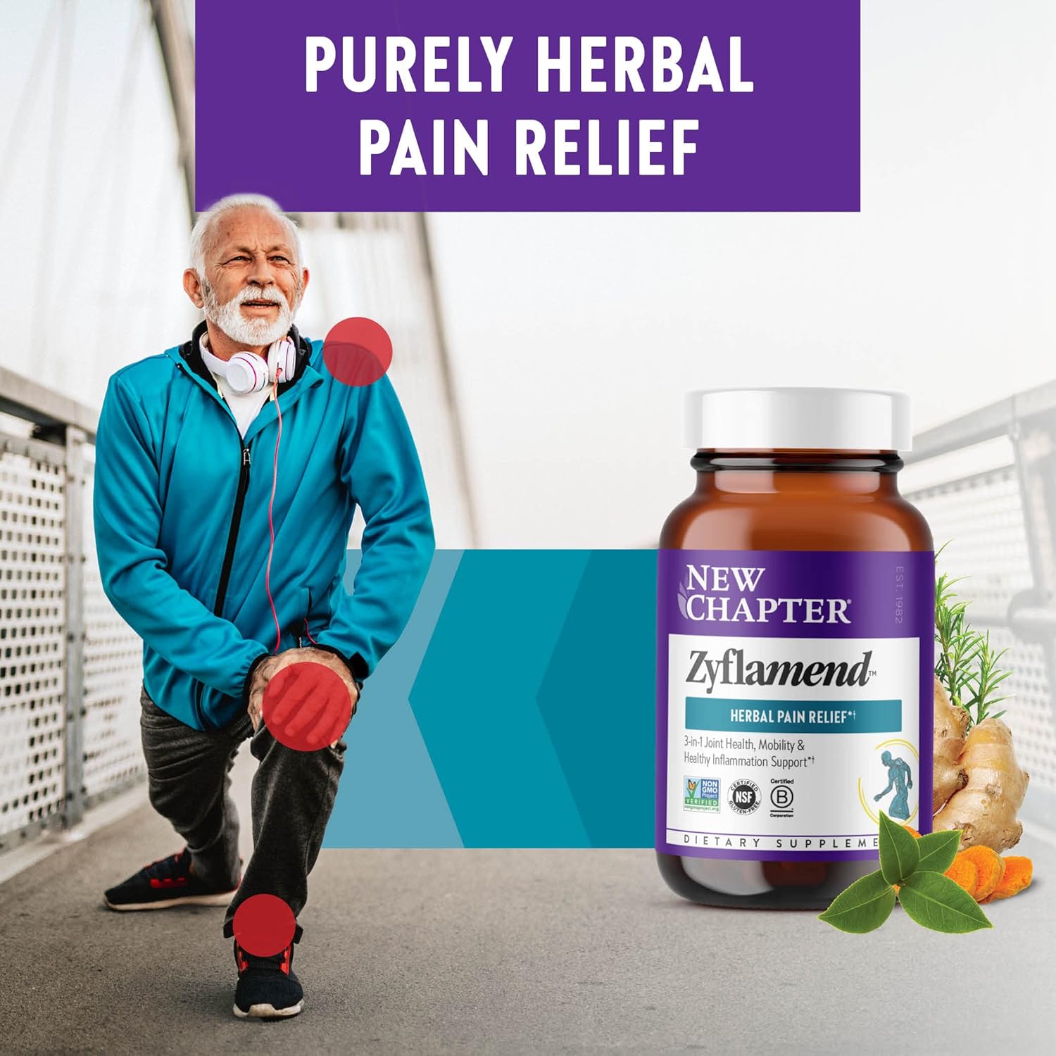 New Chapter Multi-Herbal Pain Reliever+ Joint Supplement, Zyflamend™ 10-in-1 Superfood Blend with Ginger & Turmeric for Healthy Inflammation Response & Herbal Pain Relief+, 60 Count : Health & Household