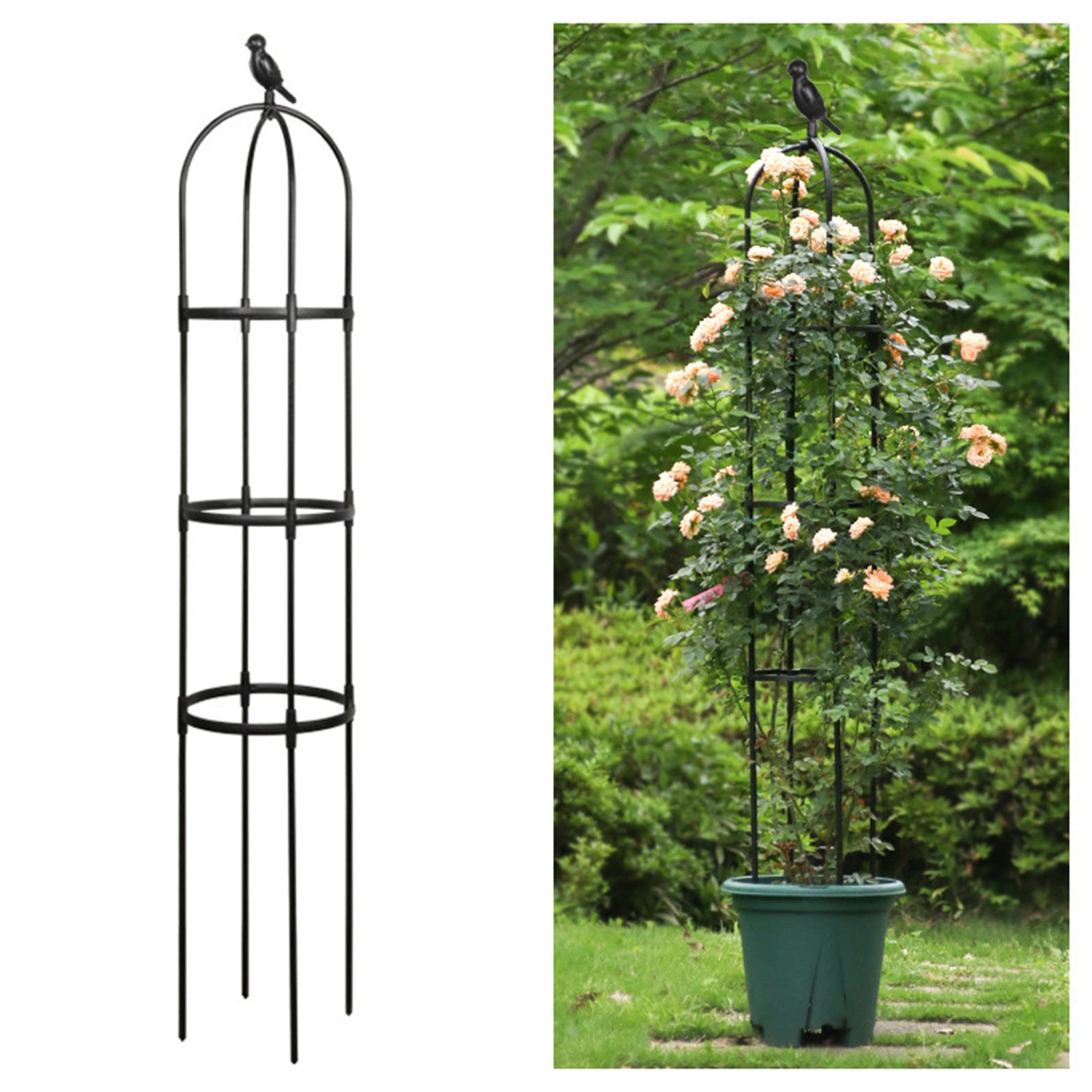 Buy Garden Obelisk Trellis for Climbing s, Wrought Iron Metal Trellis with Plastic Ring, 5 Feet