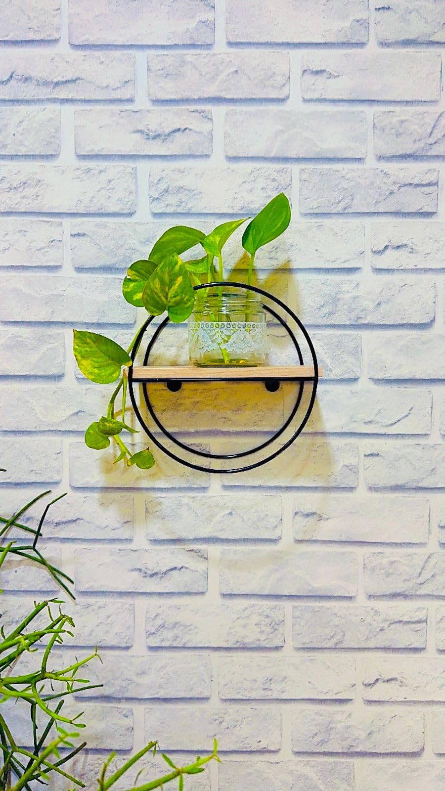 OSIER Wall Mounted Wooden Plant Stand With Circular Steel Frame Shelf for Bedroom Living Room Office Bathroom Home Decoration Plant Photo Display Shelves (Pack Of 1) (B0D7MW776C) Amazon Price History, Amazon Price Tracker